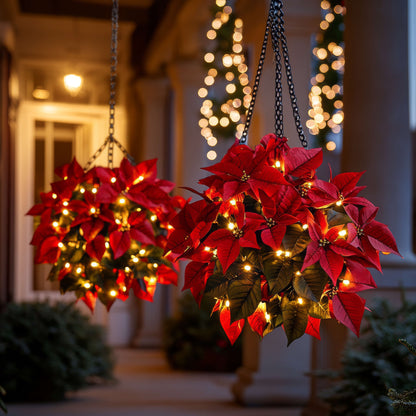 Crimson Charm Poinsettia Topu